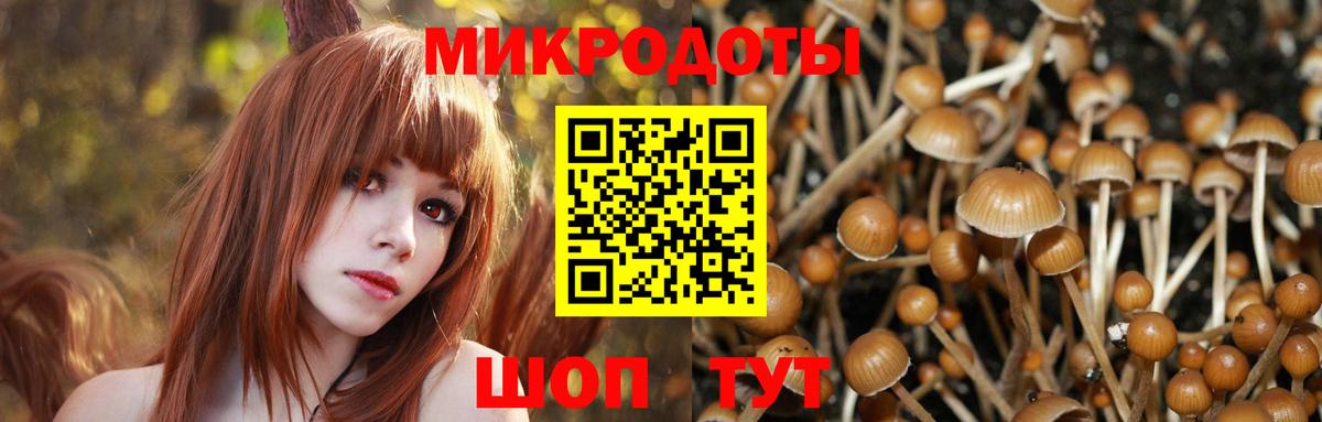 Галлюциногенные грибы Psilocybine cubensis  Галлюциногенные грибы MAGIC MUSHROOMS  купить   Вход с VPN  Отрадный 